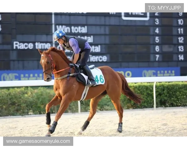 澳门赛马最新赛事场地介绍，赛场设施与观赛体验全解析