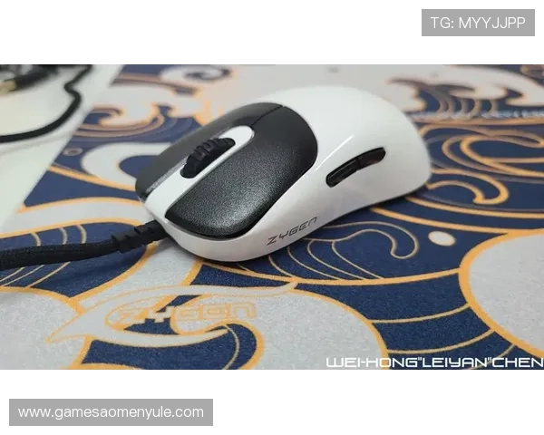 提升pa视讯首页登录效率的实用建议，确保每次登录都快速、安全、便捷