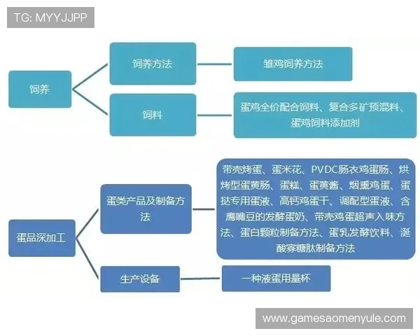 新澳门官网地址变更的原因分析，解读官方更新背后的战略布局
